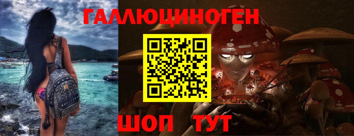 Донской  Псилоцибиновые грибы Psilocybine cubensis  Вход с VPN  Галлюциногенные грибы прущие грибы 